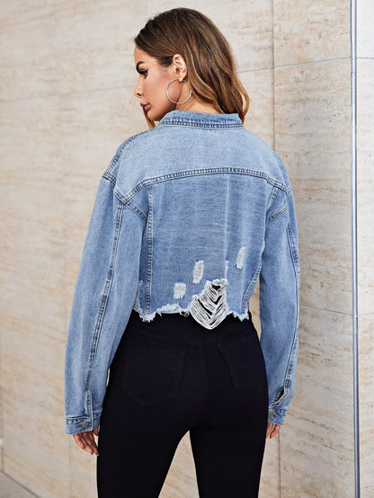 Embroidered Jacket